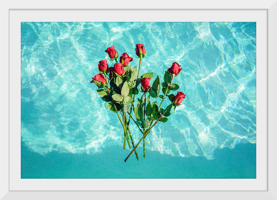 "Red Roses on Teal Background"