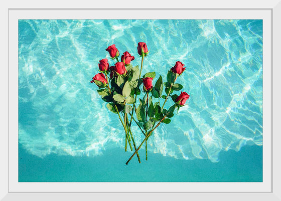 "Red Roses on Teal Background"