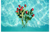 "Red Roses on Teal Background"