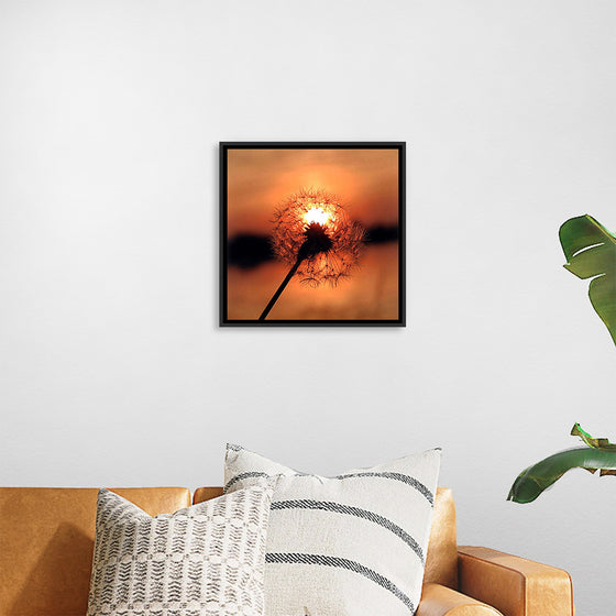 "Dandelion at Sunset"