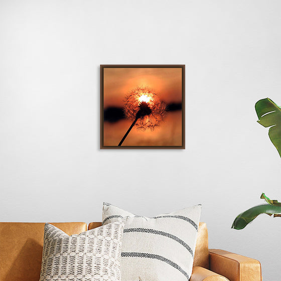 "Dandelion at Sunset"