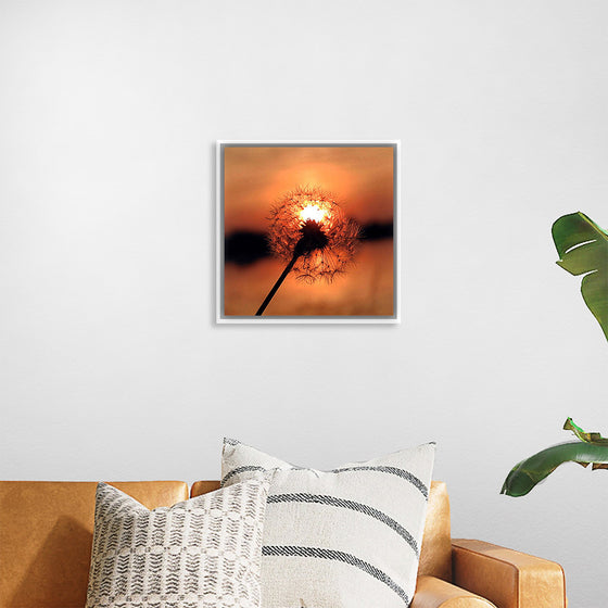 "Dandelion at Sunset"