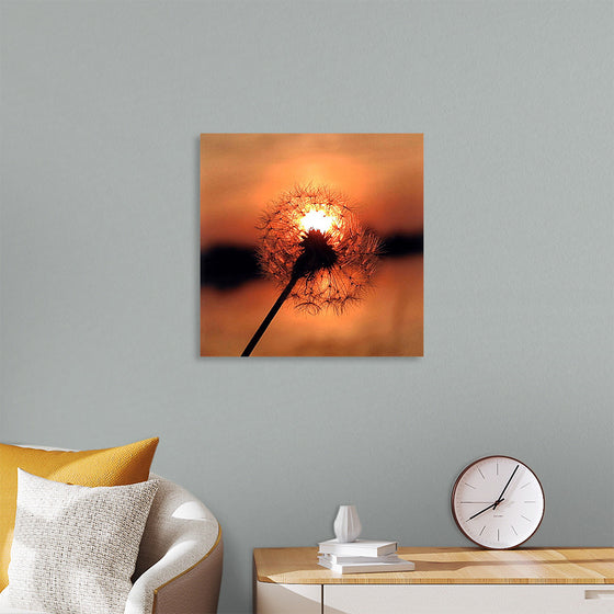 "Dandelion at Sunset"