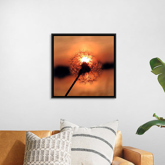 "Dandelion at Sunset"