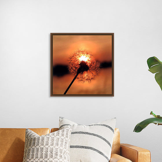 "Dandelion at Sunset"