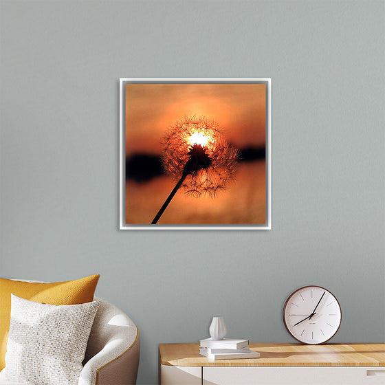 "Dandelion at Sunset"