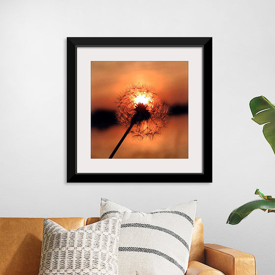 "Dandelion at Sunset"