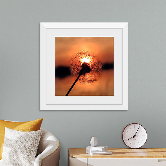 "Dandelion at Sunset"