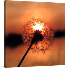  This stunning print captures the essence of nature's beauty at its finest. The golden dandelion stands tall against the backdrop of a breathtaking sunset, creating a mesmerizing scene that will leave you in awe. 