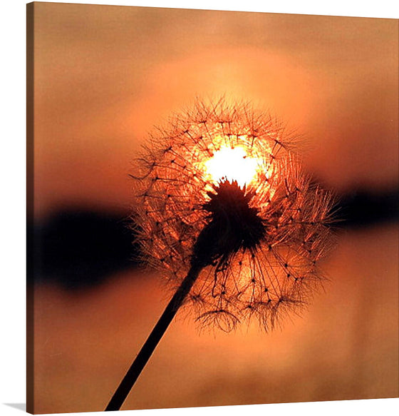 This stunning print captures the essence of nature's beauty at its finest. The golden dandelion stands tall against the backdrop of a breathtaking sunset, creating a mesmerizing scene that will leave you in awe. 