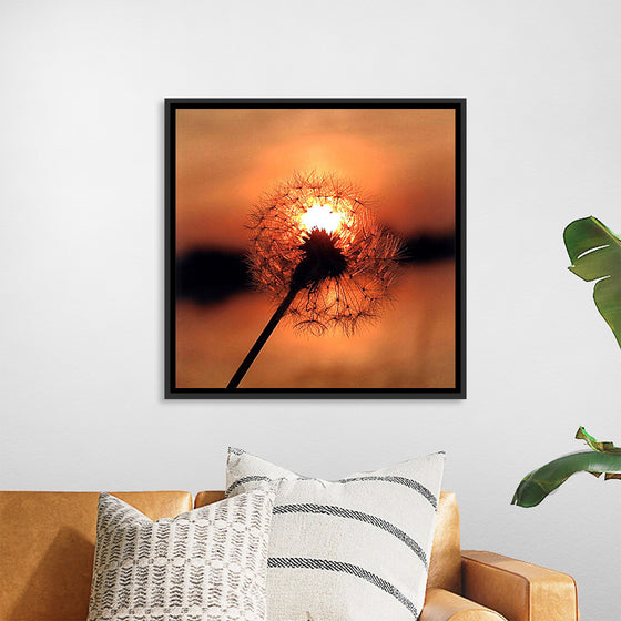 "Dandelion at Sunset"