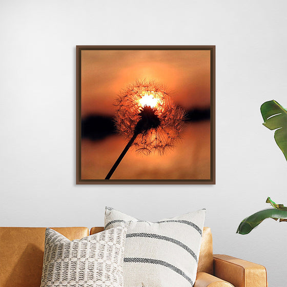 "Dandelion at Sunset"