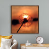 "Dandelion at Sunset"