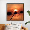 "Dandelion at Sunset"