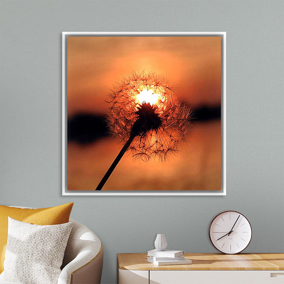 "Dandelion at Sunset"