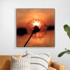 "Dandelion at Sunset"