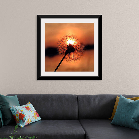 "Dandelion at Sunset"