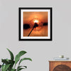 "Dandelion at Sunset"