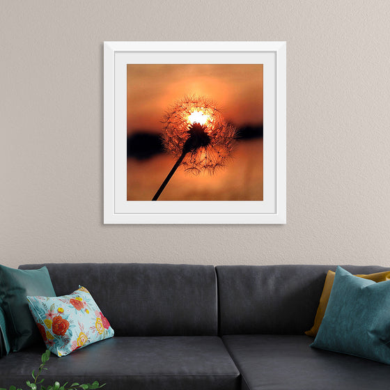 "Dandelion at Sunset"