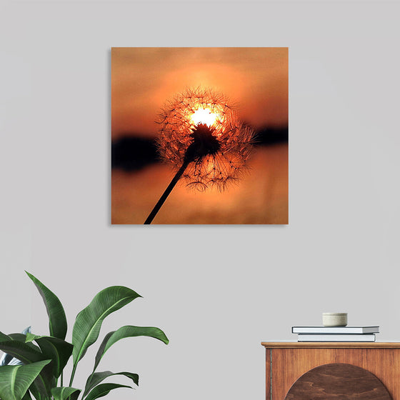 "Dandelion at Sunset"