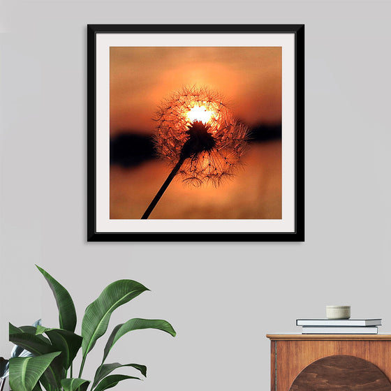 "Dandelion at Sunset"