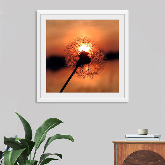 "Dandelion at Sunset"