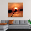 "Dandelion at Sunset"