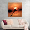 "Dandelion at Sunset"