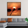 "Dandelion at Sunset"