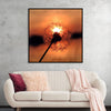 "Dandelion at Sunset"