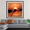 "Dandelion at Sunset"