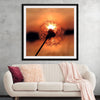 "Dandelion at Sunset"