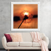 "Dandelion at Sunset"