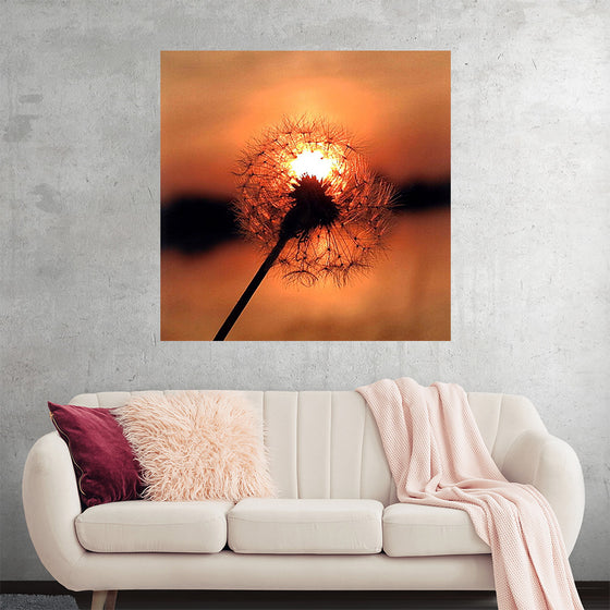 "Dandelion at Sunset"