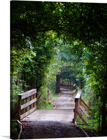  Step into a world of serene beauty with this exquisite print capturing a tranquil woodland path. The artwork invites viewers to wander through the lush greenery, over the rustic wooden bridge, and into the heart of nature’s embrace. Every detail, from the dappled sunlight filtering through the leaves to the inviting path ahead, is rendered with stunning clarity and depth. This piece promises not just a visual treat but an experience, a journey into calmness and reflection. 