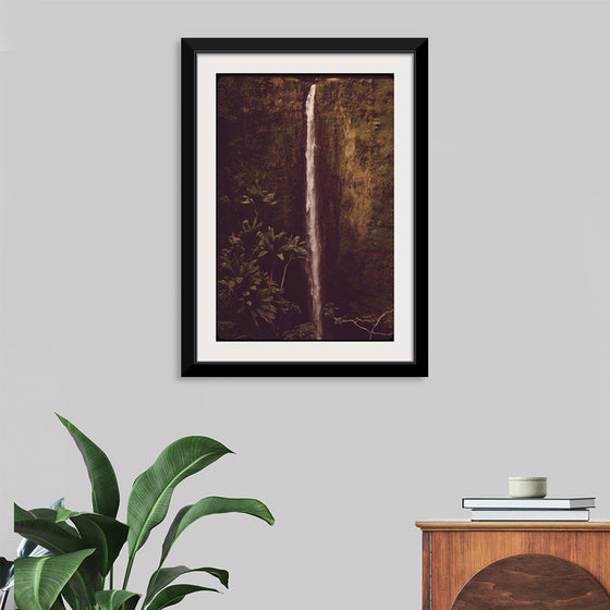 "Akaka Falls State Park, November 1973", Charles O'Rear