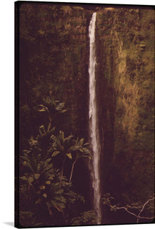  Charles O’Rear’s photograph “Akaka Falls State Park, November 1973” captures the beauty of the park’s cascading Kahuna Falls and the free-falling 'Akaka Falls, which plunges 442 feet into a stream-eroded gorge. 