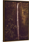 "Akaka Falls State Park, November 1973", Charles O'Rear