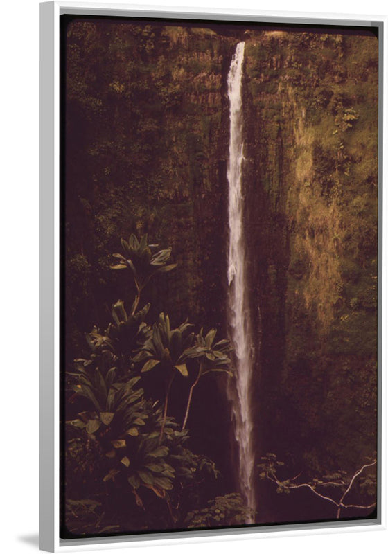 "Akaka Falls State Park, November 1973", Charles O'Rear