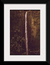 "Akaka Falls State Park, November 1973", Charles O'Rear