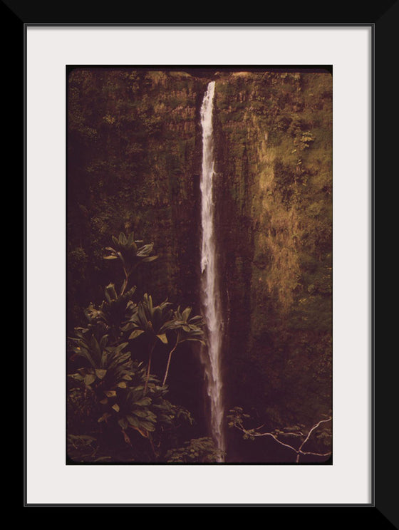 "Akaka Falls State Park, November 1973", Charles O'Rear