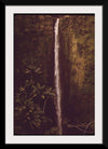 "Akaka Falls State Park, November 1973", Charles O'Rear