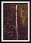 "Akaka Falls State Park, November 1973", Charles O'Rear