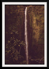 "Akaka Falls State Park, November 1973", Charles O'Rear