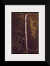 "Akaka Falls State Park, November 1973", Charles O'Rear