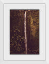 "Akaka Falls State Park, November 1973", Charles O'Rear