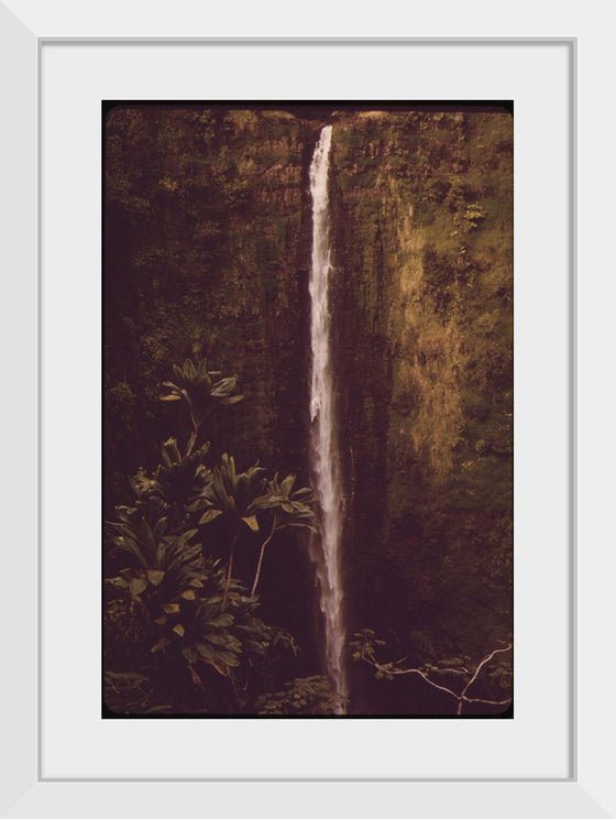 "Akaka Falls State Park, November 1973", Charles O'Rear