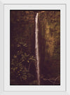 "Akaka Falls State Park, November 1973", Charles O'Rear