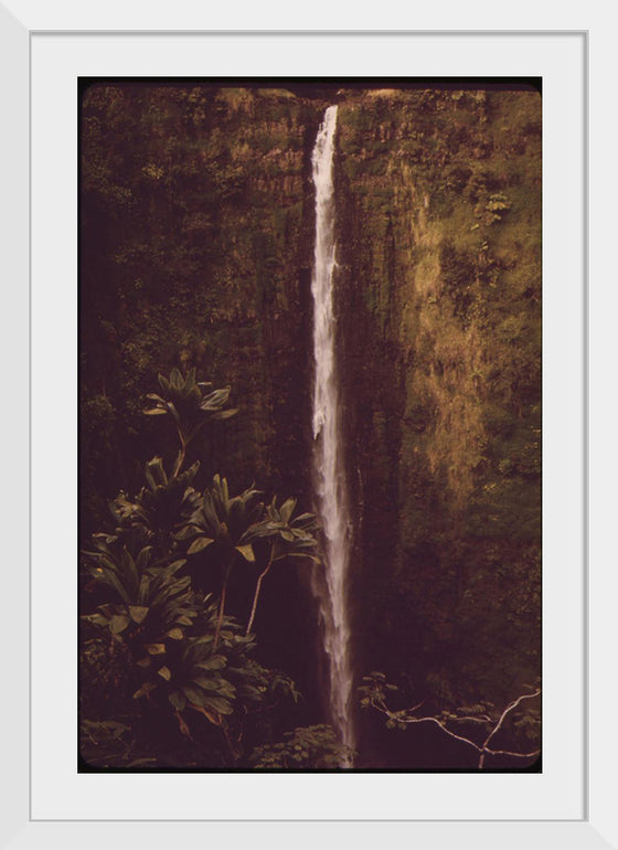 "Akaka Falls State Park, November 1973", Charles O'Rear