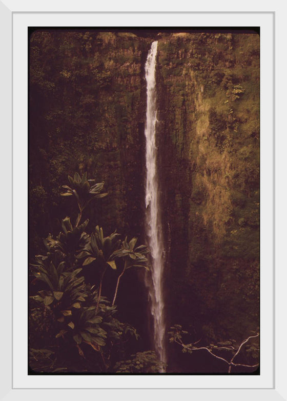 "Akaka Falls State Park, November 1973", Charles O'Rear